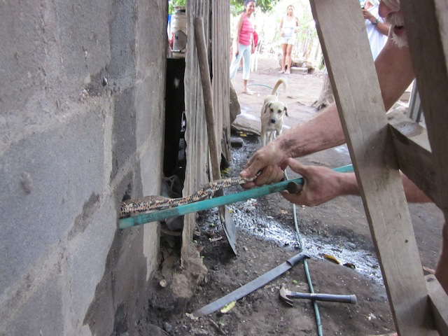 Ron working to extract the boa from the wall