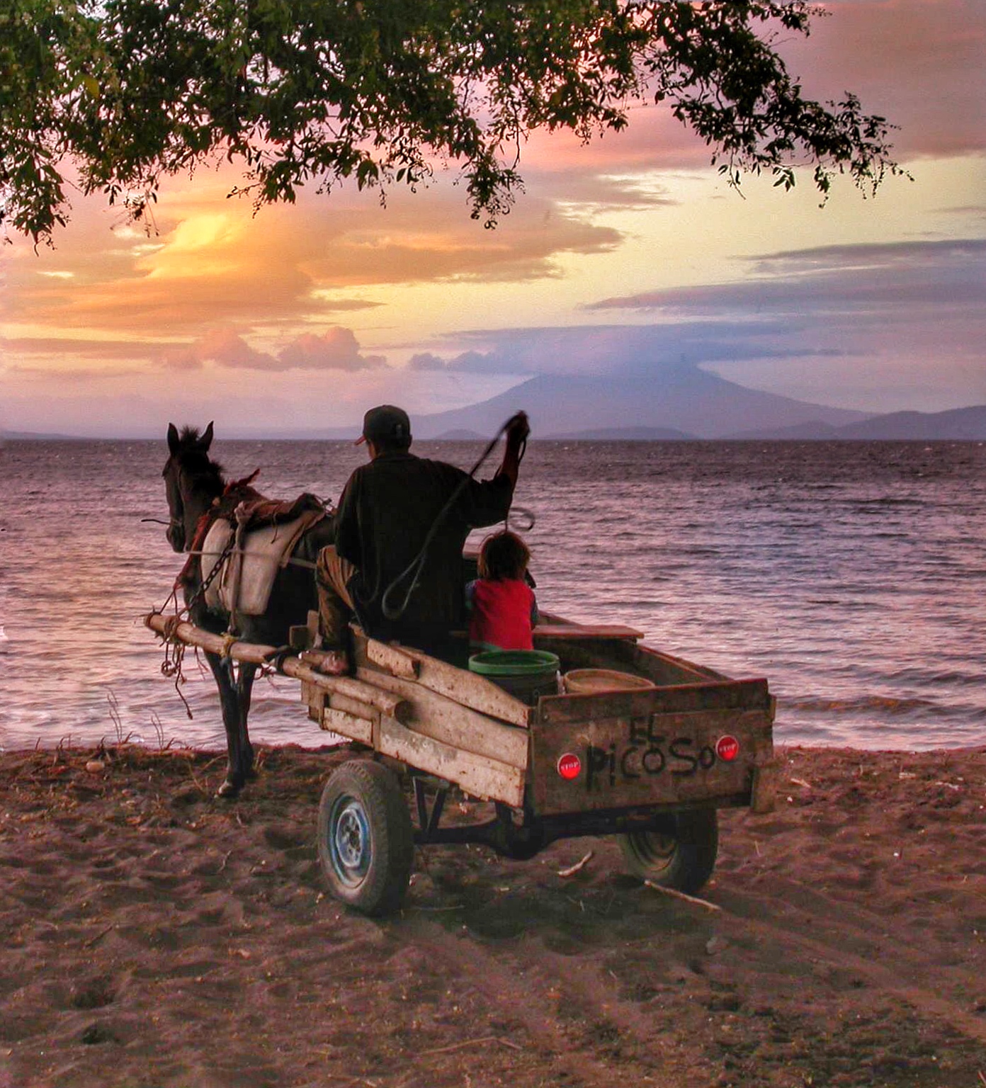 Horse cart on the beach at sunset